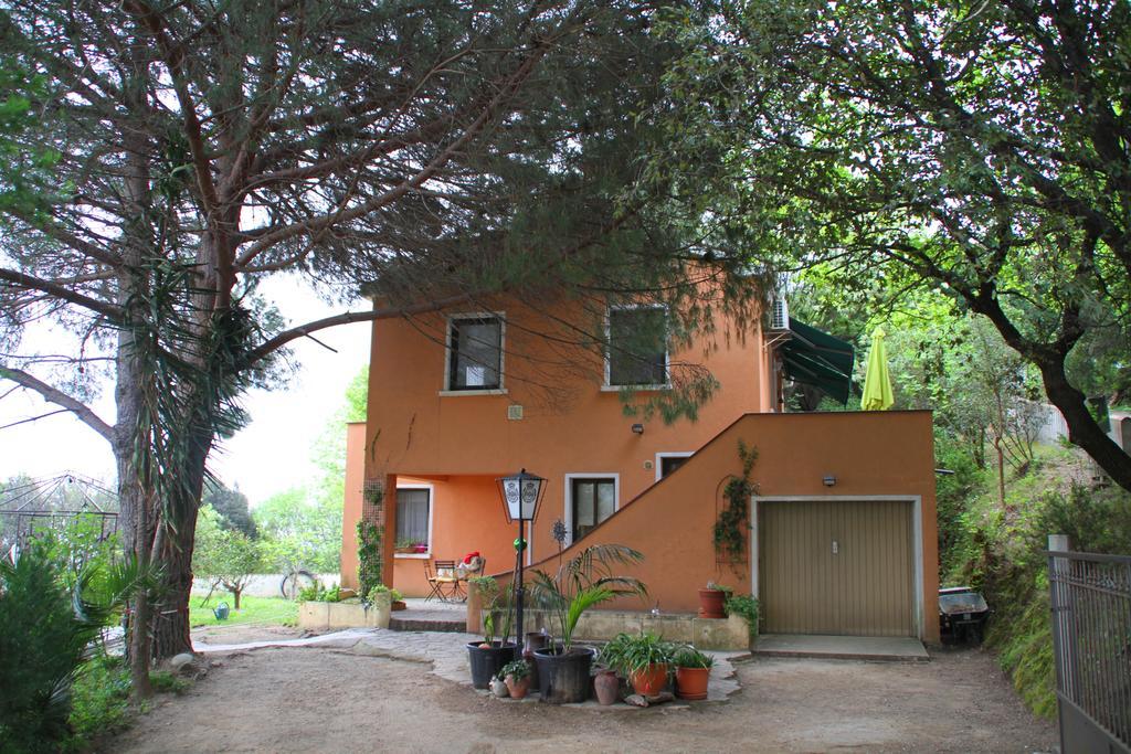 Kallista 2 San-Giuliano Quarto foto